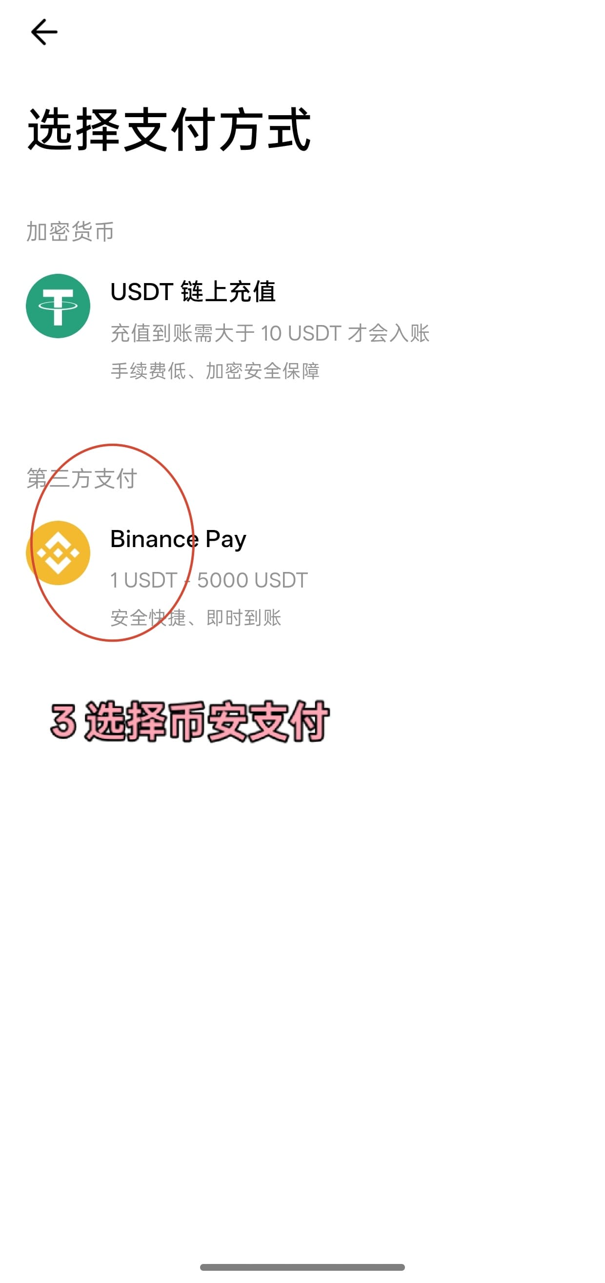 MPchat 存款方式选择示意